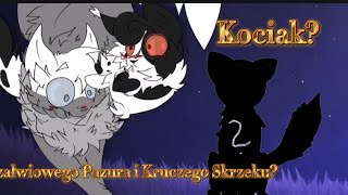 Teoria na temat kociaka✨️😱Uni ZurawinowaGwiazdacienkrwi [upl. by Ahsile]