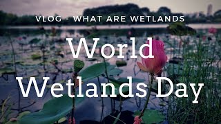 Wetlands Day  What are Wetlands  Types of Wetlands [upl. by Neetsuj664]