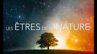 LES ÊTRES DE LA NATURE  Samuel Stemmer [upl. by Fidela]