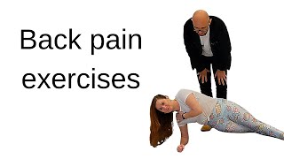 Back Pain Exercises  sciatica and femoral neuropathy [upl. by Paget58]