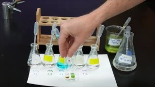 Qual Lab  Nitrate Test [upl. by Haughay]