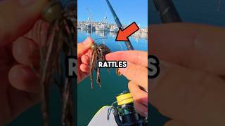 Freshwater Bass Jig in Saltwater fishingvideo bassfishing bassfishingismylife [upl. by Josi]