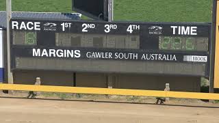 Gawler02102024Race8 [upl. by Kcirrag]