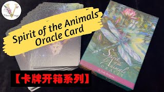 Spirit of the Animals Oracle Cards 开箱 [upl. by Cyrilla]