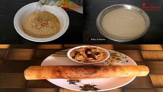 Foxtail Millet Dosa  కొర్రల దోసkorralu dosa recepieHow to make millets dosa in telugu [upl. by Yrelle]