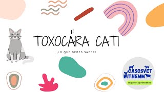 Toxocara cati  Tema 6 [upl. by Anastasie]