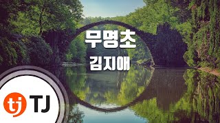 TJ노래방 무명초Disco  김지애 MumyeongchoDisco  Gim ji ae  TJ Karaoke [upl. by Petey]