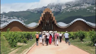 Visiting the Rioja wine region with Worlds Best Vineyards [upl. by Nedmac]