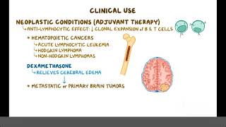 Glucocorticoids Pharmacology [upl. by Enajaras]