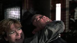 Cynthia Rothrock vs Yuen Biao Fight Scene Righting Wrongs 1986 [upl. by Rotce]