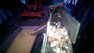 Conveyor belt  corn cobs  sheller machine [upl. by Ahsael]