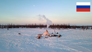 How The North Nomads live in Russia Tundra How people live in Russia today [upl. by Ferd]