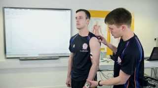 Electromyography EMG in Sport and Exercise Science [upl. by Hubey]