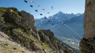 Wingsuit Vs Highline  Awesome Chamonix Brevent World Best Stunt Record Ever [upl. by Rico]