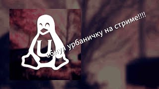 Убил Урбаничку на стриме exechack [upl. by Mathew]