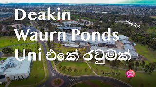 Deakin Waurn PondsUni එකේ රවුමක්  Aussie Kollek Lasiya Vlogs  Australia Sinhala vlogs [upl. by Rebmyk]