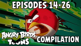 Bird sounds for kids  PART 1  Bird Identification Children Learn Common City Birds and Fowls [upl. by Kraska47]