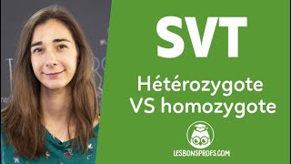 Hétérozygote VS homozygote  SVT  Terminale  Les Bons Profs [upl. by Eibob390]