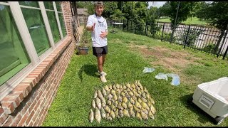 Threatened To Have Police Called After Removing 70 Fish From Overpopulated Neighborhood Pond [upl. by Carleton]