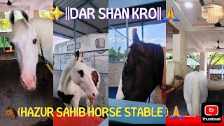 🌸✨DHARSHAN KRO HAZUR SAHIB HORSE STABLE DEnandedhorse gurugranthsahib hazursahibhorseview [upl. by Orlantha]