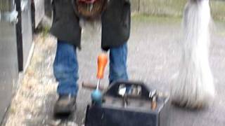 Shoeing Clydesdale Horses at Glasgow [upl. by Ashla]