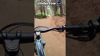 This Bike Park has the SICKEST Flow Trails [upl. by Joell]