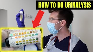 How to perform URINALYSIS  a stepbystep guide  Doctor ODonovan Clinical Skills [upl. by Ponton574]