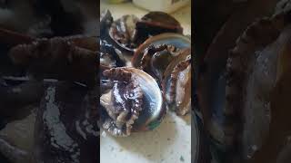 fresh abalone for lunch abalone seafood [upl. by Giuseppe]