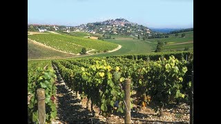 BOURGES SANCERRE Marche thierrymonicault Accordéon et chant [upl. by Etnaik]