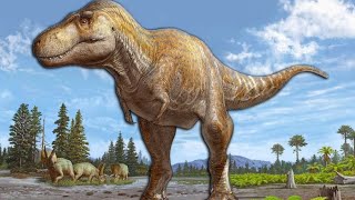 This New Tyrannosaurus Species Was A Monster  Tyrannosaurus mcraeensis [upl. by Alleuqcaj804]