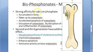 Pharmacology 386 a BisPhosphonates Osteoporosis Treatment Calcium Alendronate Etidronate Pamidronate [upl. by Rocco]