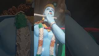 He krishna he Govinda he madhava  hre krishna hre krishna  short video [upl. by Berkie]