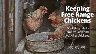 Keeping Free Range Chickens  British Farming [upl. by Naivat716]