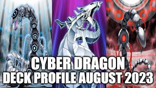 CYBER DRAGON DECK PROFILE AUGUST 2023 YUGIOH [upl. by Britni662]