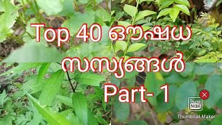 Medicinal Plants Herbal Plants Around usAyurvedic plants name in English Malayalam [upl. by Odidnac]