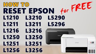 How to Reset Epson L1210 L1250 L1256 L3210 L3216 L3250 L3256 L5290  FREE LICENSE KEY [upl. by Noiram]