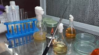 Indole Production test by Bhriganka Bharadwaj [upl. by Anilatak]