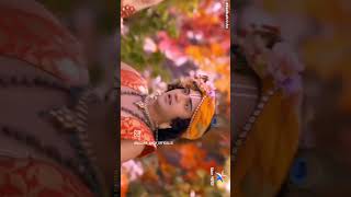 Radhe radhe Krishna please support me guys subscribe kare please [upl. by Chemosh]