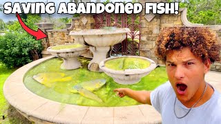 Saving ABANDONED Aquarium FISH In GREEN SLIME POND [upl. by Heeley]