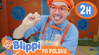 Sklep z czekoladą  Blippi po polsku 🔶 Nauka i zabawa dla dzieci [upl. by Eigna]