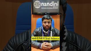 How to View Trial Balance in TallyPrime  Trial Balance Report  Nandini Infosys [upl. by Crichton205]