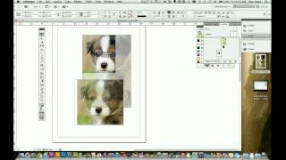 Indesign CS5 Tutorial  How to Use the Frame tool [upl. by Tisdale]