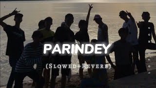 Parindey  SlowedReverb Song  Trending amp Hindi Song 🎶  song trendinghindi​ [upl. by Entirb]