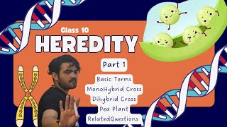 Class X Heredity Part 1 MonoDiHybrid Cross [upl. by Ahsaetal]