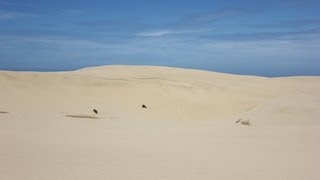 Formation of Sand Dunes Coastal Processes Part 5 of 6 [upl. by Dao352]