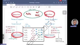 Key Concepts of Carbonic AcidBicarbonate Buffer System [upl. by Burnham]