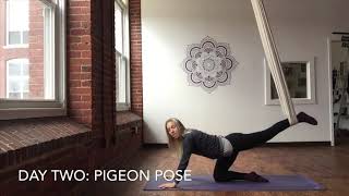 Aerial Yoga Pose Tutorial  Pigeon Pose [upl. by Ecnarrot769]