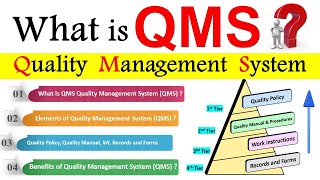 What is Quality Management System QMS  Elements of Quality Management System [upl. by Lavicrep]