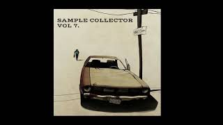 SAMPLE COLLECTOR VOL7  FREE PACK BOOM BAP LOFI TRAP CHOPS JAZZ BLUES FUNK GUITAR PIANO [upl. by Atnahsal]