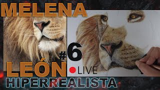 Cómo dibujar pelaje de animal HIPERREALISTA con lápices de colores❓ MASTER CLASS PROYECTO LEÓN 6 [upl. by Ewall910]